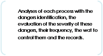 Parenthèses: Analyses of each process with the dangers identification, the evaluation of the severity of these dangers, their frequency, the wat to control them and the records. 