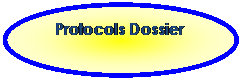 Ellipse: Protocols Dossier