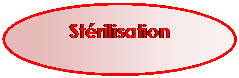 Ellipse: Stérilisation
